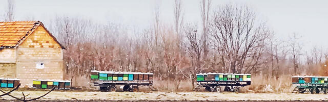 Пче­ла­ри­ма Вр­шца че­ти­ри ми­ли­о­на ди­на­ра под­сти­ца­ја