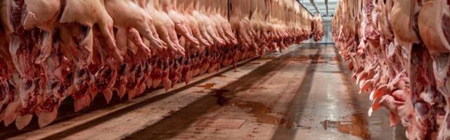 DOSIJE TRIHINELA: Ljudi jeli zaraženo meso, veterinar "utvrdio" da je zdravo, haos u Pančevu