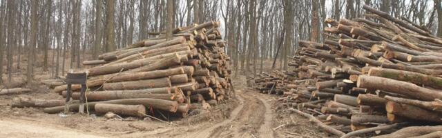Fruška gora kao uzgredna šteta: Zašto vojska mora da izmešta radare i uništava nacionalni park?