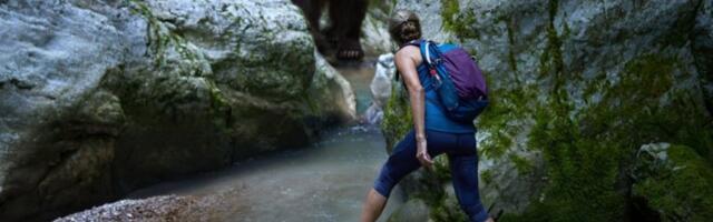 HOROR U ŠUMI! Medved zverski napao muškarca (58): Iskasapio mu noge i polomio ruku! SPASIOCI ZATEKLI JEZIV PRIZOR!