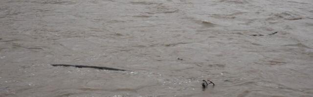 I ovo je SILA PRIRODE u Srbiji: Evo kako izgleda kada se Gradac naljuti, NIŠTA nije ostalo (SNIMAK)