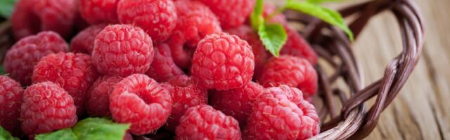 Dijeta sa malinama - za 3 dana 2 kg manje