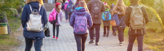 SVE ŠKOLE U BEOGRADU RADE?! Većina drži časove od 45 minuta, četiri škole u delimičnom režimu rada!