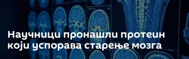 Научници пронашли протеин који успорава старење мозга