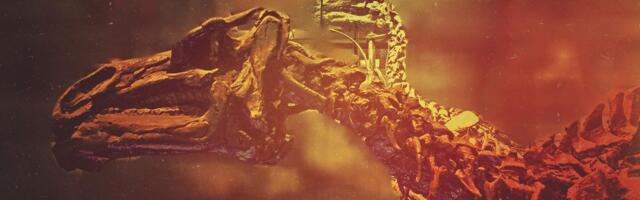 Ovakvo stvorenje dosad nije viđeno: Prvi put otkriven dinosaurus sa potpuno jedinstvenim bodljama