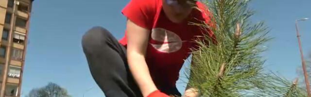 Nikola sam sadi drveće po Leskovcu kako bi ga ozeleneo: Komšije mu se dive, a evo kako je sve krenulo