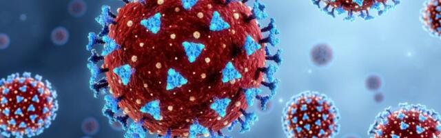 Batut upozorava javnost na hantavirus: 127 slučajeva u Srbiji za deset godina