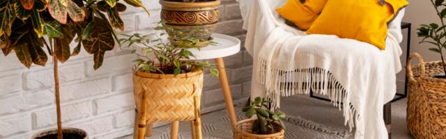 Letnji vajb kod kuće: 7 šik trikova za osvežen i stylish enterijer