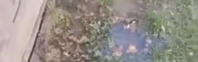 Lepenički bulevar: Zovemo dva sata Vodovod i kanalizaciju, ali nam se niko ne javlja