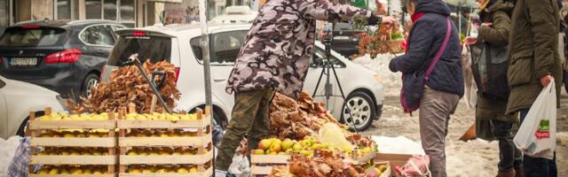 Uputstvo za postupanje sa badnjakom tokom Božića: Ne treba ga čuvati za sledeću godinu, teolog objasnio šta je poželjno uraditi