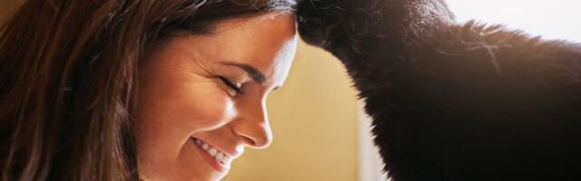 Zašto mačke ne mašu repom kao psi? Otkriveno čak DEVET NAČINA na koje pokazuju ljubav i privrženost