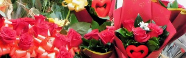 PROLEĆNI FESTIVAL CVEĆA U KULI: Oaza muzike, zelenila i dobre atmosfere