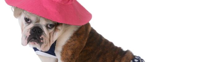 Skandalozna reklama za bikini prenerazila korisnicu Fejsbuka: Umesto bruke stiglo objašnjenje veka!