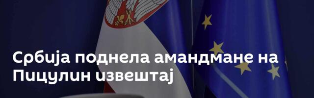Србија поднела амандмане на Пицулин извештај