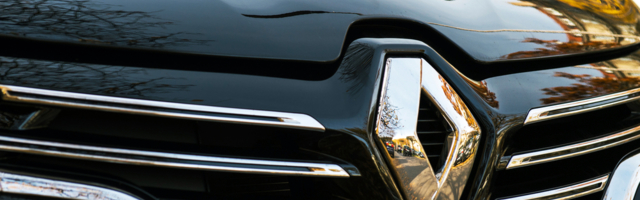 RENO SE BORI ZA OPSTANAK: “Ako u kratkom roku ne dobije pomoć mogao bi da nestane”