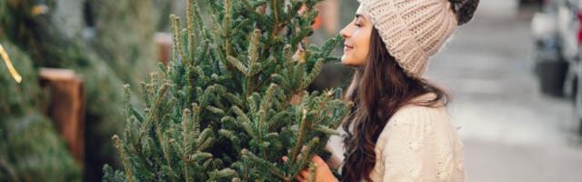 Kada je pravo vreme da okitite jelku? Ovih 5 datuma donosi novac, ljubav i sreću u vašu kuću