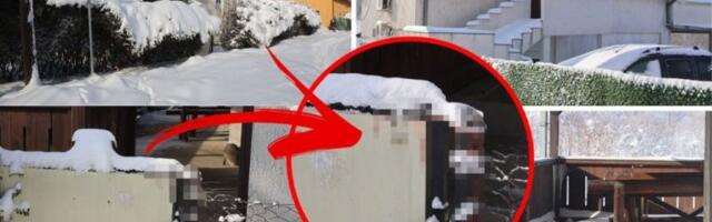 STAVIO BRATU (14) PIŠTOLJ NA GLAVU! Policija izvršila pretres stana tinejdžera koji je pucao na BABU I DEDU  - ispituje se čije je oružje!