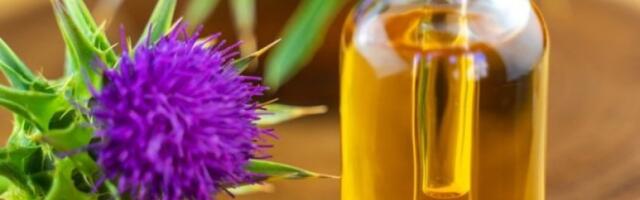 Eliksir koji regeneriše masnu u alkoholnu jetru: Semenke ove biljke suvo su zlato