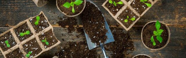 Ne bacajte kartonske kutije – evo kako ih možete pametno iskoristiti u bašti ovog proleća