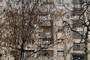 Док мајка није писала Титу нигде стана на видику