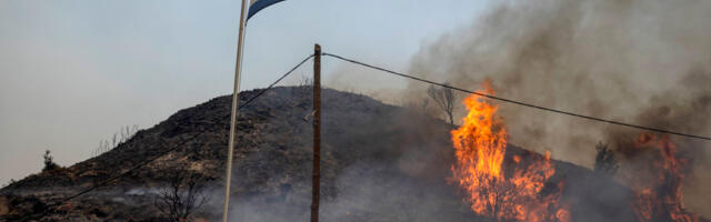 Grčka: U šumi pronađeno 18 ugljenisanih tela