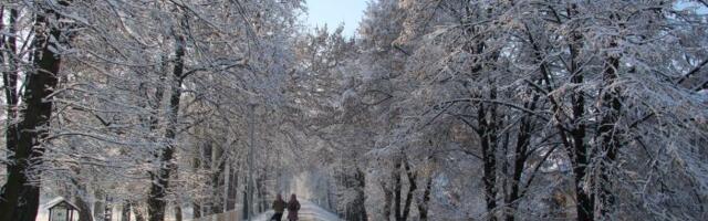 Da li će biti obilnijih snežnih padavina do kraja januara?