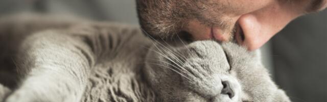 Zaštitite kućnog ljubimca od zime!