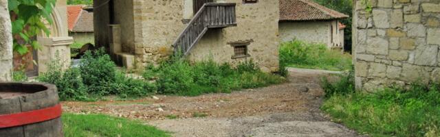 Kako je tragičan događaj za jedne, pomogao drugima? Vina iz Srbije su tada postala poznata širom Evrope