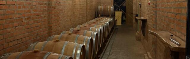 Ogromna šansa za domaće vinarije: Kinezi traže srpsko vino