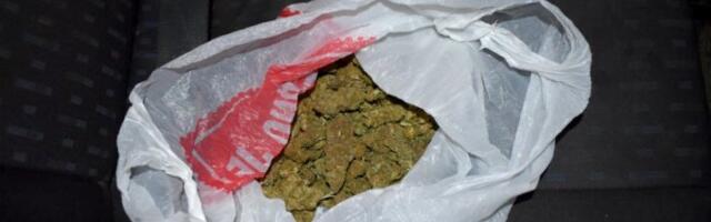 U STANU KRILI MARIHUANU: Pohapšeni dileri iz Novog Sada