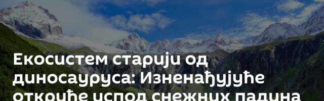 Екосистем старији од диносауруса: Изненађујуће откриће испод снежних падина Алпа