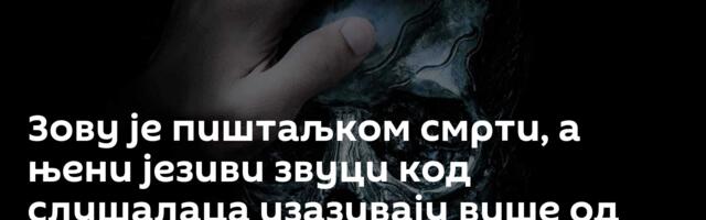 Зову је пиштаљком смрти, а њени језиви звуци код слушалаца изазивају више од страха /видео, фото/