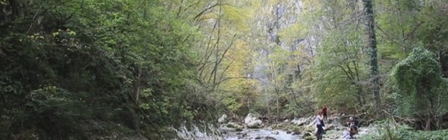 IVANJIČANKA PROHODALA ZAHVALJUJUĆI TERMALNIM IZVORIMA, A ONDA SU SVI POHRLILI PO ČUDOTVORNI LEK! Izuzetno termalno bogatstvo kod Arilja!