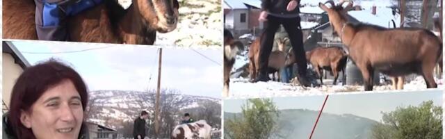 Milka u kućerku na brdu kod Prokuplja podiže 3 sina: Aleksa, Mitar i Vasilije heroji su koji su letos od požara spasili svoju kuću imaju samo jednu želju
