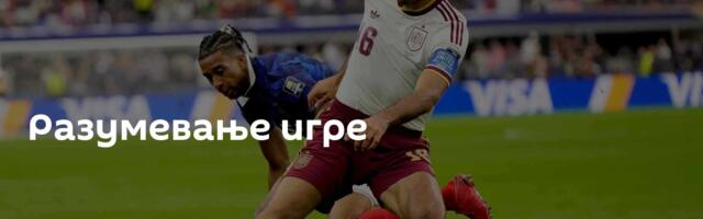 Разумевање игре