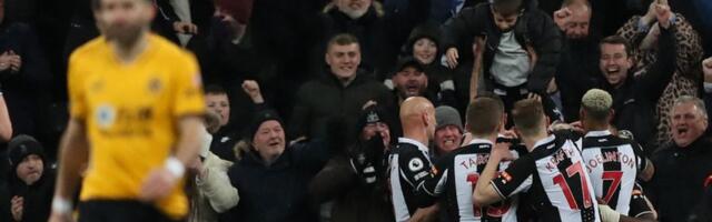 Svrake sa kreča poletele ka opstanku (VIDEO)