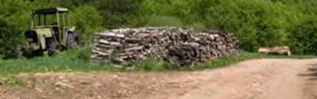 MUŠKARAC STRADAO DOK JE SEKAO DRVA Užas u Jagodini