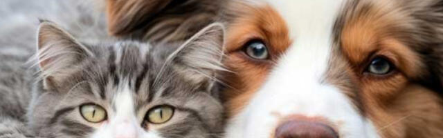 Историјски помак за живот са ЉУБИМЦИМА- корак ка бољој повезаности