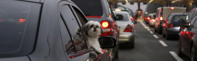 LJUDI BESNI, KOLONE KILOMETARSKE! Na graničnom prelazu sa Mađarskom putnici satima čekaju - IZAŠLI IZ VOZILA I BLOKIRAJU PUT! (VIDEO)