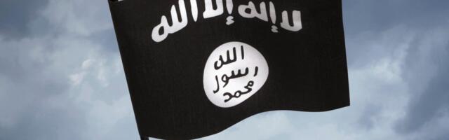 Uhapšen jedan od vođa Islamske države u predgrađu Damaska