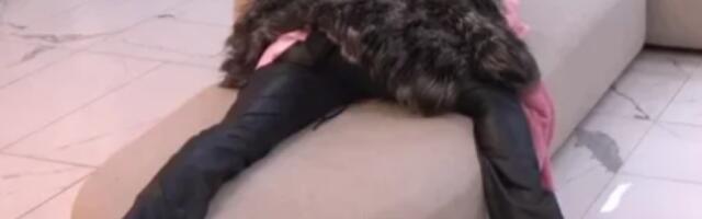 TAKMIČARKA ELITE KOLABIRALA; SRUŠILA SE ZBOG INFORMACIJE O RODITELJIMA: Saznala šta se dešava u spoljnom svetu!