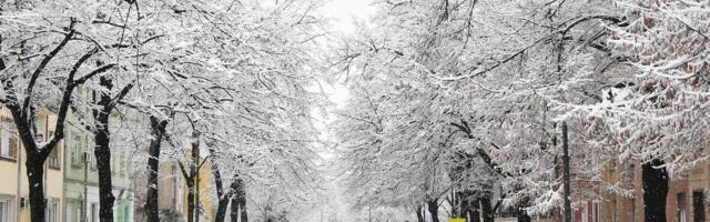 Novi Sad pod snegom: Glavne saobraćajnice prohodne, građani se žale na neočišćene trotoare i parkinge