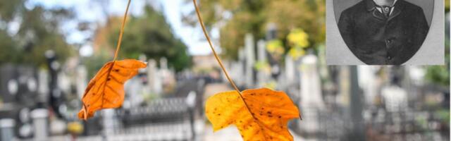 U OKVIRU FESTIVALA SVETSKI DAN(I) POEZIJE, U BLIZINI POSLEDNjEG POČIVALIŠTA VOJISLAVA ILIĆA ORGANIZOVANO ČITANjE I RAZGOVOR O POEZIJI