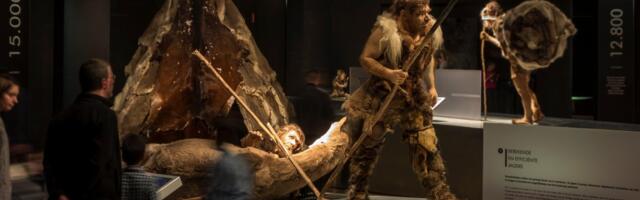 Zašto su neandertalci nestali? Novi pogled na staro pitanje o najbližim ljudskim rođacima