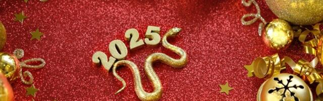 Stigla je godina drvene Zmije! Kineski horoskop za 2025. godinu - dešava se jednom u 60 godina