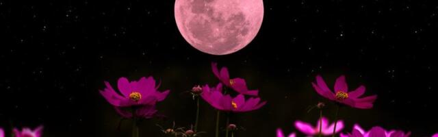 Mesečni horoskop za maj: Pun Mesec u Škorpiji menja sudbinu 4 znaka