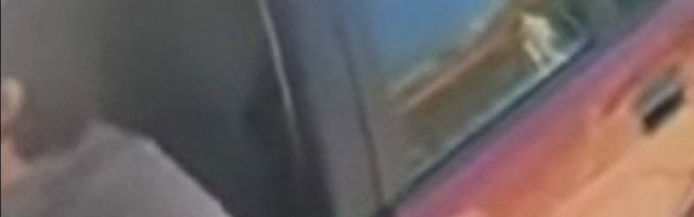 (VIDEO) HIT NA INTERNETU! Žena provozala KOZU U AUTOMOBILU, a onda je njen sin OTVORIO VRATA!