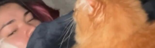 Snimak koji je zapalio internet: Usred noći je probudio osećaj nelagode po telu, nije mogla da se pomeri (VIDEO)