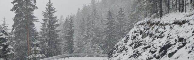 Baba Marta udarila iz sve snage: Na Tari i Zlatiboru sneg pada kao u Sibiru, vozači u šoku (VIDEO)