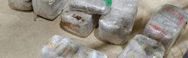 Paketi bili spremni! Prekinut lanac međunarodnog šverca droge: "Pao" Crnogorac - nađena 124 kilograma narkotika